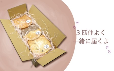 かわいいねこパン3個セット ＜苺ちゃん、はっちゃん、ケビン＞　西条市産の自然栽培米でつくる 自家製米麹生あま酒を使用した 天然酵母で作りました！