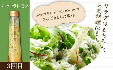 【全3回定期便】【毎月1本ずつお届け】糸島野菜を食べる生ドレッシング 1本 × 3種 お試し 定期便 （ 人参 / 玉葱 / ルッコラレモン ） 糸島市 / 糸島正キ [AQA035]