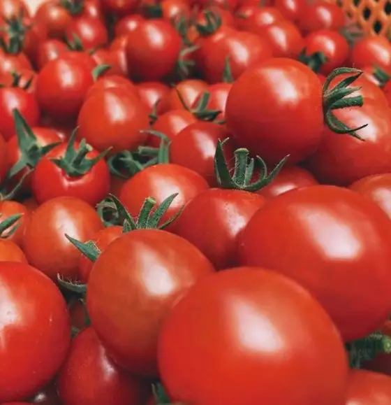 【十勝まきばの家ワイナリー】北海道 十勝の美味しいミニトマトを濃~いジュースにしました テレビで絶賛