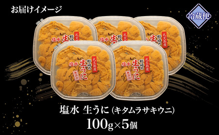 北海道 礼文島産 ミョウバン不使用 塩水ウニ キタムラサキウニ 100g×5パック［野崎水産］【 うに ウニ 雲丹 生うに 塩水うに ムラサキウニ 素材本来の味 海鮮 うに丼 濃厚 甘み 産地直送 】