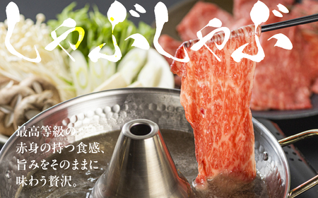 【ふるなび限定】 [A5等級] 飛騨牛モモ すき焼き・しゃぶしゃぶ用 600g [0837] すき焼き トキノ屋食品 FN-Limited-PR