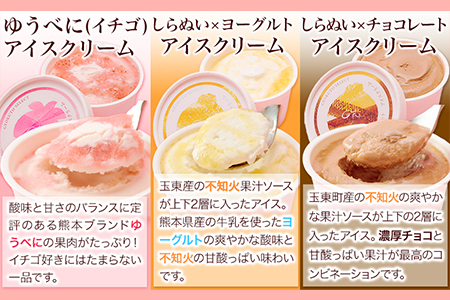 ぎょくとうセレクト アイスアソートセット 12個(全5種)《60日以内に出荷予定(土日祝除く)》 熊本県玉名郡玉東町 すもも ハニーローザ いちご イチゴ いちご しらぬい 不知火 チョコ チョコレート ヨーグルト アイス シャーベット ぷらっとぎょくとう 