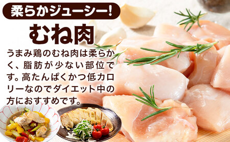  鶏肉 むね 合計3.72kg 訳あり 鶏肉《3-7日以内に出荷予定(土日祝除く)》