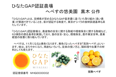 【期間限定発送】 おひさまへべす ひなたGAP認定 ふぞろい 2kg [へべすの悠美園 宮崎県 日向市 452060723]