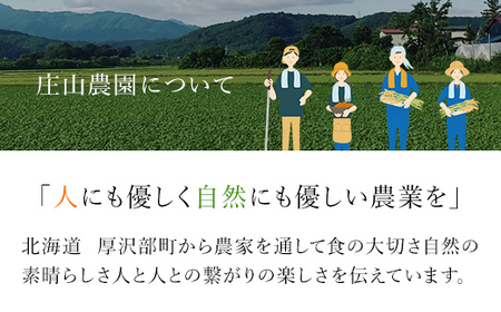 【令和7年産】北海道厚沢部産ななつぼし5kg ASG014