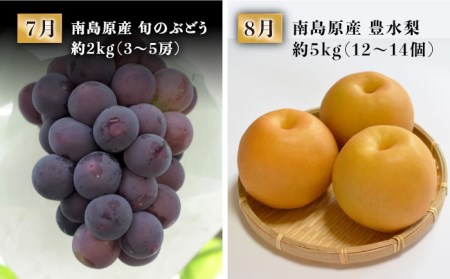 【創業108年の老舗店バイヤーセレクト！】南島原自慢の逸品 プレミアム 12回定期便 Aコース / 長崎 和牛 ふぐ チーズケーキ そうめん ぶどう 梨  定期便 / ながいけ [SCH042]