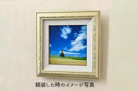 写真家　阿部俊一　キャンバスプリント(273mm × 273mm)[036-28]
