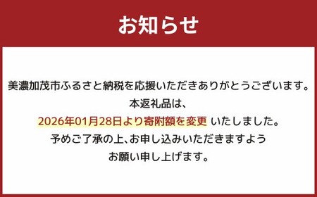 飛騨牛入り ハンバーグ 5個 セット