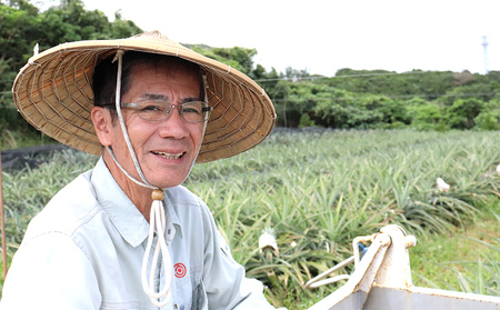  パイナップル【2026年発送】比屋定農園「久米定パイン」ゴールドバレル 1玉（2kg以上×1玉） パインフルーツ 果物