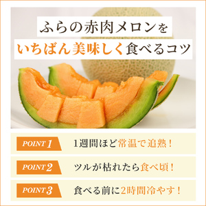 【令和8年産】ふらの 赤肉メロン 秀品 Lサイズ 1.6kg～1.9kg 2玉 セット ファーム富良野 メロン めろん 果物 くだもの フルーツ デザート 北海道 北海道上富良野町 