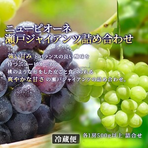 フルーツ 定期便 2026年 先行予約 フルーツ王国 岡山の果物 5回コース 夏～冬物語  桃 もも 葡萄 ぶどう 梨