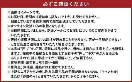 【先行予約】岡山県産 シャインマスカット 『晴王』 1房 700g以上 化粧箱入り【2026年8月下旬～10月上旬まで順次発送予定】【シャインマスカット 果物 フルーツ 国産 人気 おすすめ 岡山県 倉敷市】