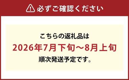 【先行予約】岡山県産 詰合せ／白桃2玉とニューピオーネ2房 化粧箱入り【2026年7月下旬～8月上旬まで順次発送予定】【もも 桃 白桃 ぶどう ニューピオーネ 果物 フルーツ 国産 人気 おすすめ 岡山県 倉敷市】