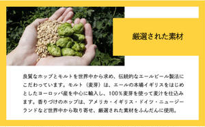 【定期便12カ月】水曜日のネコ 350ml 24本 | クラフトビール 地ビール 缶ビール よなよな
