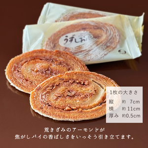 うずしおパイ（20枚母恵夢本舗） [VB00080]