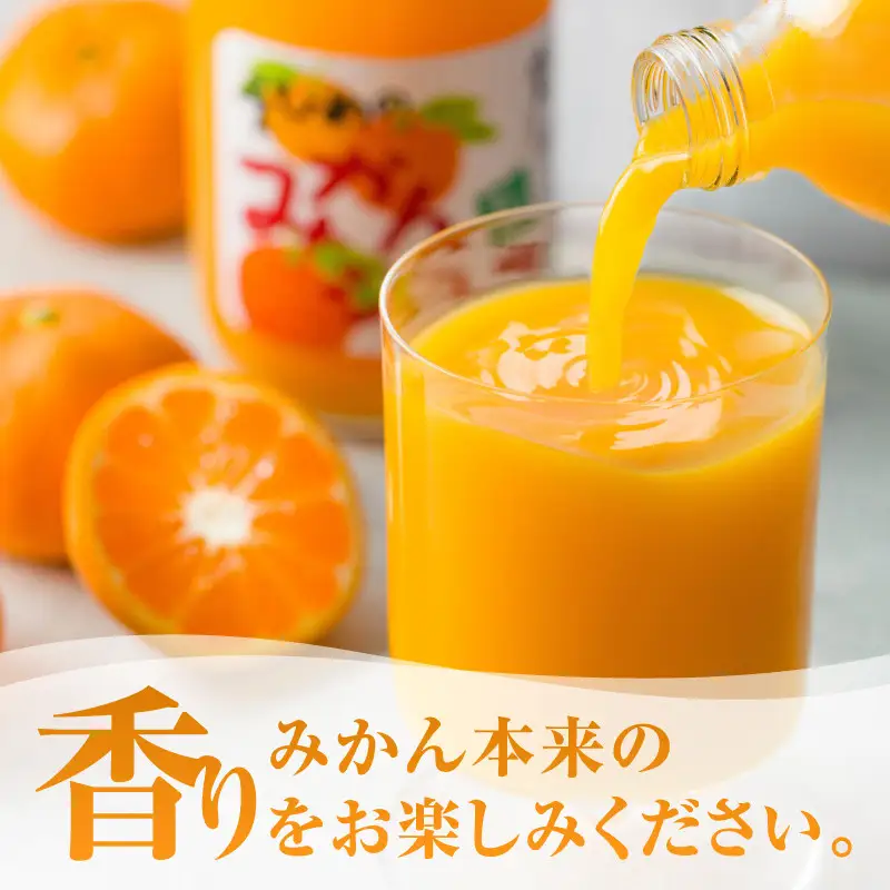 愛媛のみかんジュース(伯方果汁伯方町) 500ｍl×12本