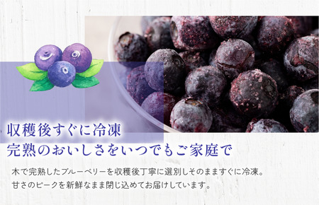 森のともだち農園 冷凍ブルーベリー（スタンディングパック）150g