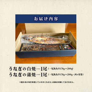 うなぎの白焼・蒲焼セット（特大サイズ 一尾 170g～200g）_国産 うなぎ 白焼 蒲焼 セット 特大 一尾 170g～200gずつ 食べ比べ 濃厚 甘み タレ グルメ 食品 加工品 魚 魚介類 おかず 惣菜 ご飯のお供 酒の肴 冷凍 パック 樋口商店 うなぎ白焼き 福岡県 久留米市 お取り寄せ お取り寄せグルメ 送料無料 〔Cu003〕