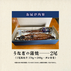 うなぎの蒲焼 2尾セット（特大サイズ 一尾 170g～200g）_うなぎ 蒲焼 2尾 セット 特大サイズ 一尾170g～200g たれ付き 鰻専門問屋 樋口商店 鹿児島 宮崎 国産 ジャポニカ種 真空パック ギフト お取り寄せ グルメ うな丼 うな重 ひつまぶし お土産 手土産 贈り物 プレゼント お中元 職人 送料無料 〔Cu001〕