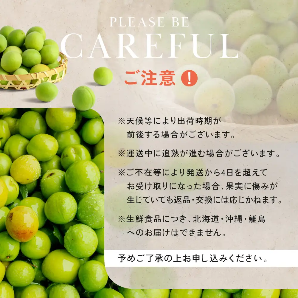 家庭用 紀州南高梅(青梅)2kg+250g（傷み補償分）【梅干し・梅酒・梅ジュース】【訳あり】［IKE111］