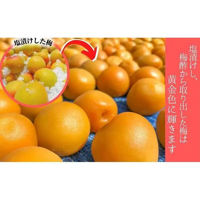 しそ漬け梅　特選　(400ｇ）紀州南高梅【梅農家手づくり梅干】