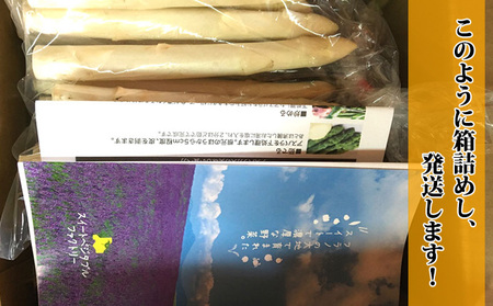 【2027年春発送】富良野産 グリーン・ホワイト アスパラ セット【1kg】60本前後 サイズ混合 アスパラガス 大容量