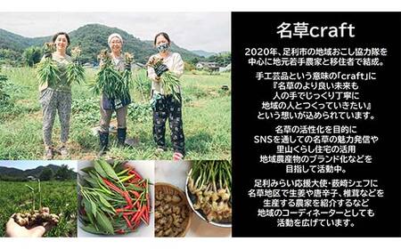 ＜足利みらい応援大使・薮崎シェフ＞ 名草生姜の麻辣火鍋 【濃縮タイプ】 2人前(355g)×1セット F7Z-179