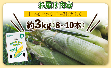 とうもろこし 朝採れスイートコーン 3kg (8～10本) 【とうもろこし とうもろこし とうもろこし とうもろこし とうもろこし とうもろこし とうもろこし】 sg-0005