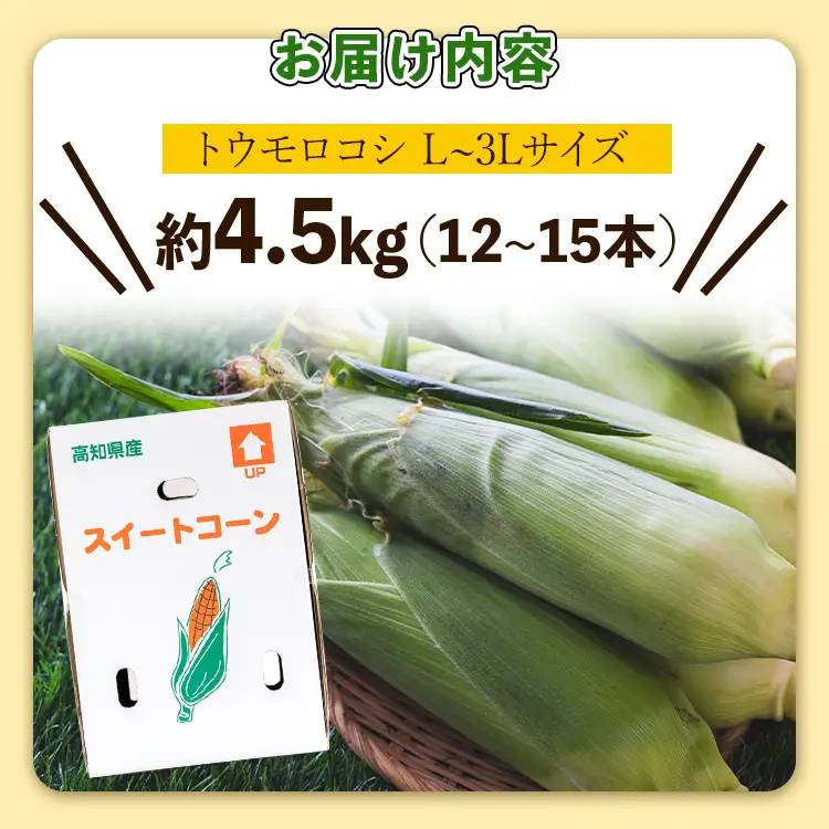 朝採れスイートコーン 4.5kg (12～15本) - 野菜 とうもろこし とうきび トウキビ BBQ キャンプ 旬 おやつ 特産品 数量限定 季節限定 期間限定 sg-0006