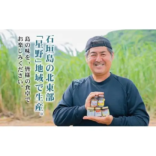 UY-1 石垣島海のもの山のものスパイス&オリジナル詰め合わせセットA