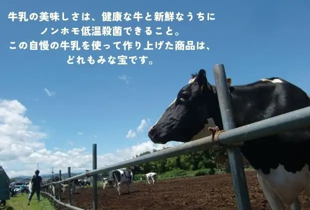 加藤牧場 乳製品とカマンベール、ミルクジャムのセット ヨーグルト 乳飲料 ドリンク のむヨーグルト 発酵食品 牧場直送 チーズ 朝ごはん 