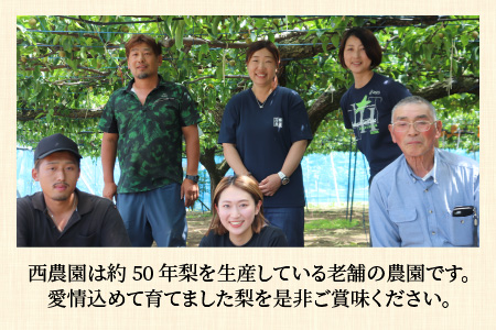 【先行予約】幸水梨 5kg前後 (8～14個) たっぷりの果汁を含んだジューシーな梨！【2026年8月中旬以降順次発送予定】【梨 幸水梨 なし フルーツ 甘い みずみずしい 果実 果物 新鮮 お土産 贈り物 旬の果物 冷蔵】 [A-15005]