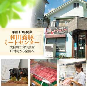 【E02008】＜定期便・全10回＞かごしま黒豚ふるさと定期便 ファミリーセットD(月1回×10ヶ月) 鹿児島 国産 肉 豚肉 黒豚 焼豚 肩ロース ロース モモ 餃子 ぎょうざ しゃぶしゃぶ とんかつ セット 定期便 【和田養豚】