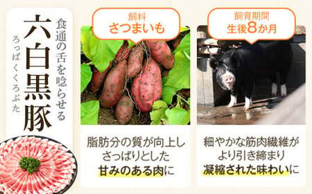 【D02005】＜定期便・全5回＞かごしま黒豚ふるさと定期便 ファミリーセットC(月1回×5ヶ月) 鹿児島 国産 肉 豚肉 黒豚 焼豚 肩ロース ロース モモ 餃子 ぎょうざ しゃぶしゃぶ とんかつ セット 定期便 【和田養豚】