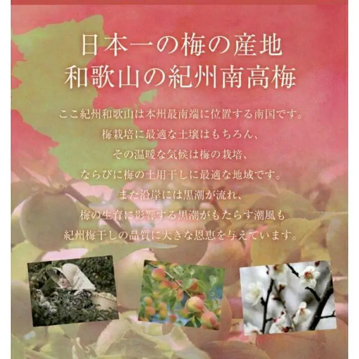 ご家庭用 はちみつ梅干し まろやか梅 普通粒 250g 塩分10％ 最高級紀州南高梅 和歌山県産 福梅本舗