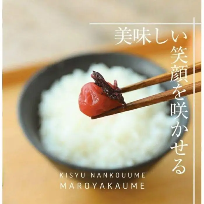 ご家庭用 しそ漬小梅 塩分20％ 200g 紀州産小梅 和歌山県産 産地直送 福梅本舗