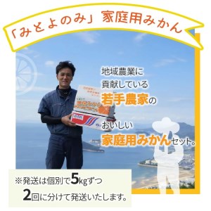 「みとよのみ」みかん食べ比べセット[2回お届け]【2024年出荷分の予約受付】