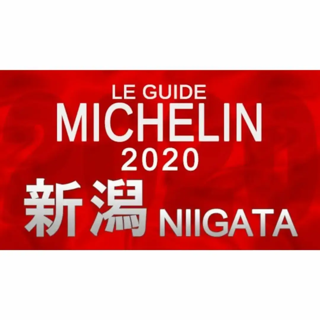 塩ラーメン 麺屋坂本02鶏塩ラーメン 3食 冷凍塩ラーメン [ミシュランガイド2020新潟特別版掲載] 塩ラーメン