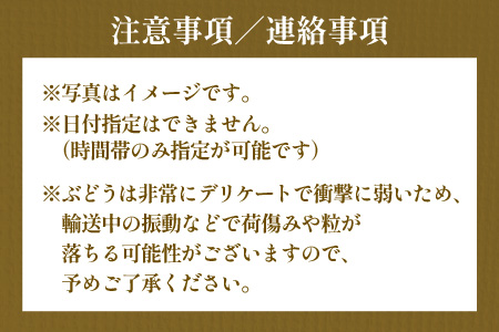【先行予約】【定期便5回コース】山の幸満喫！限定定期便【2026年7月より発送開始予定】 [G-3204]