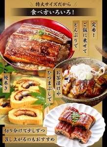 特大うなぎ蒲焼約400g×2尾_特大 うなぎ 蒲焼 無頭 約 400g 2尾 秘伝のタレ グルメ 食品 加工品 魚 魚介類 おかず 惣菜 ご飯のお供 酒の肴 うな丼 ひつまぶし お茶漬け 鰻巻き 冷凍 パック 太輔商事 福岡県 久留米市 お取り寄せ お取り寄せグルメ 送料無料 〔Cu027〕