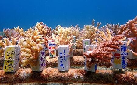 チケット 沖縄ダイビングサービス Lagoon商品券「3,000円分」【恩納村ラグーン】｜スキューバダイビング ダイビングチケット ダイビング体験 沖縄ダイビング