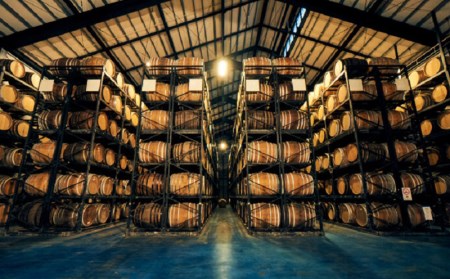 ヘリオス酒造【50年以上のロングセラーブランド】沖縄産さとうきび100％・沖縄ラム漬けハブ酒「うるま」ハブ入り40度3800ml【ハブサイズS】