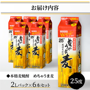 本格麦焼酎 めちゃうま麦25度2Lパック×6本セット_焼酎 麦焼酎 5年連続 金賞 福岡県酒類鑑評会 めちゃうま麦 25度 2L 6本 セット 鷹正宗 本格焼酎 プリン体糖質ゼロ 口当たり優しく まろやかな旨み 麦の香ばしさ ソフトな飲み心地 お酒 アルコール  焼酎ハイボール 福岡県 久留米市 お取り寄せ 送料無料 〔El017〕