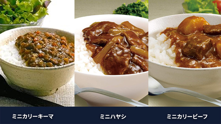 新宿 中村屋 レトルト 食べ比べ セット ( Aセット 12種 ) | 茨城県牛久