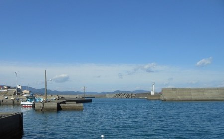 伊勢海老2.3kg（サイズおまかせ高知県産）※着日指定不可※【R00724】