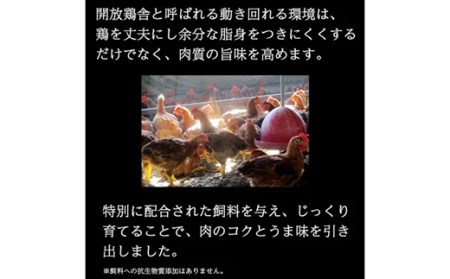伊達鶏の手羽先塩焼き 10本セット 福島県 伊達市産 F20C-570