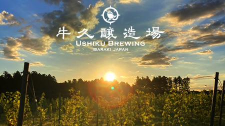 2年連続！《 ジャパン・グレートビア・アワーズ 受賞 》 クラフトビール 2種 計 6本 セット