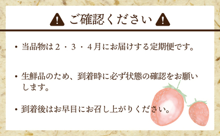 AT-005_【先行受付】博多あまおう2パック　3か月定期便
