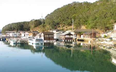 【035-17】真珠の里　アコヤ真珠付き　キラキラペンダント*