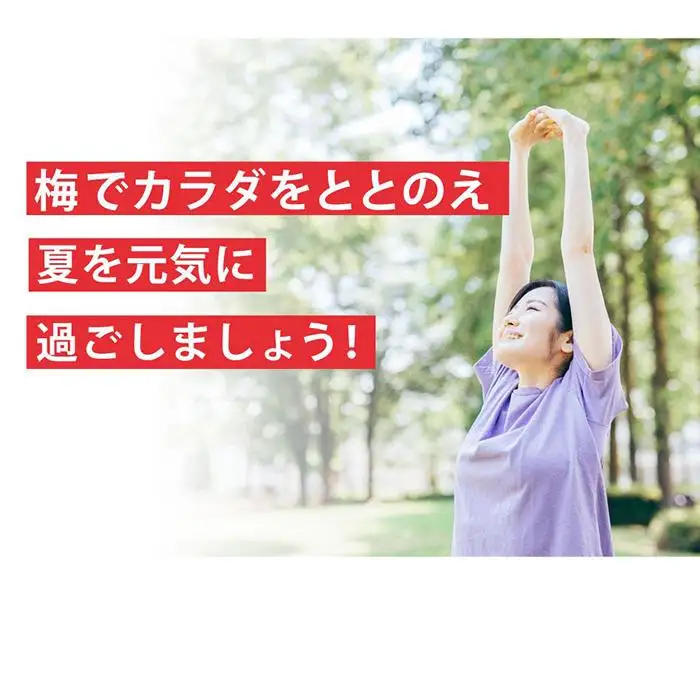 梅エキス 紀州の赤本純正70g【元気ノ国】